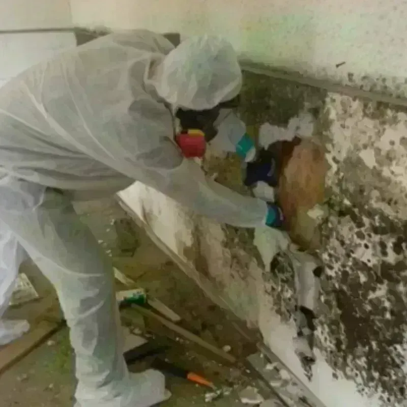 Mold Remediation and Removal in Portage Lakes, OH