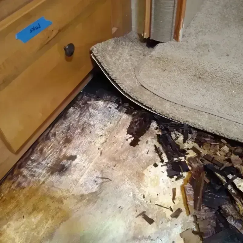 Best Wood Floor Water Damage Service in Portage Lakes, OH